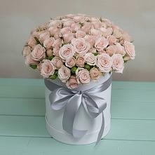 Цветочная композиция из Розы в шляпной коробке #REPLACE_PRED# Терском