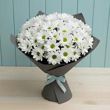 Букет цветов из:  Хризантемы #REPLACE_PRED# Терском