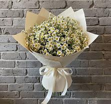 Букет цветов из:  Ромашки #REPLACE_PRED# Терском