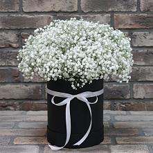 Цветочная композиция из Гипсофила в шляпной коробке в Терском