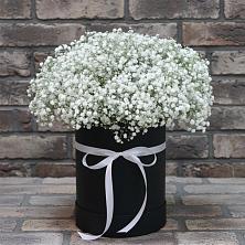 Цветочная композиция из Гипсофила в шляпной коробке в Терском