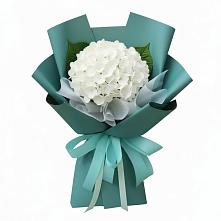 Букет цветов из:  Гортензия #REPLACE_PRED# Терском